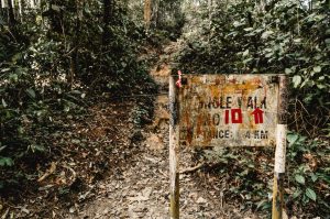 Regenwald Wanderweg, Nummer 10, Malaysia, Cameron Highlands